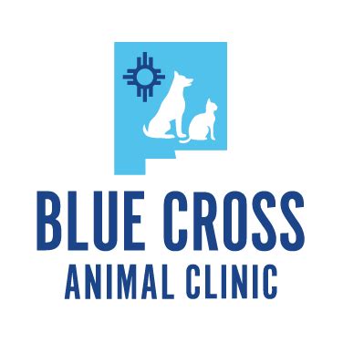 Compassionate Care for Your Furry Friends at Blue Cross Animal Clinic in Albuquerque, NM